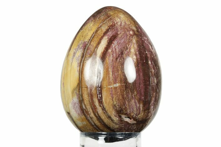 Colorful, Polished Petrified Wood Egg - Madagascar #245380